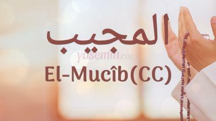 अल-मुजीब (c.c) का क्या अर्थ है? अल-मुजीब नाम के गुण क्या हैं? एस्माउल हुस्ना अल-मुजीब...