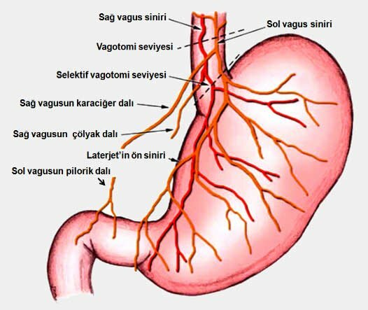 STOMACH FELCTI SYMPTOMS