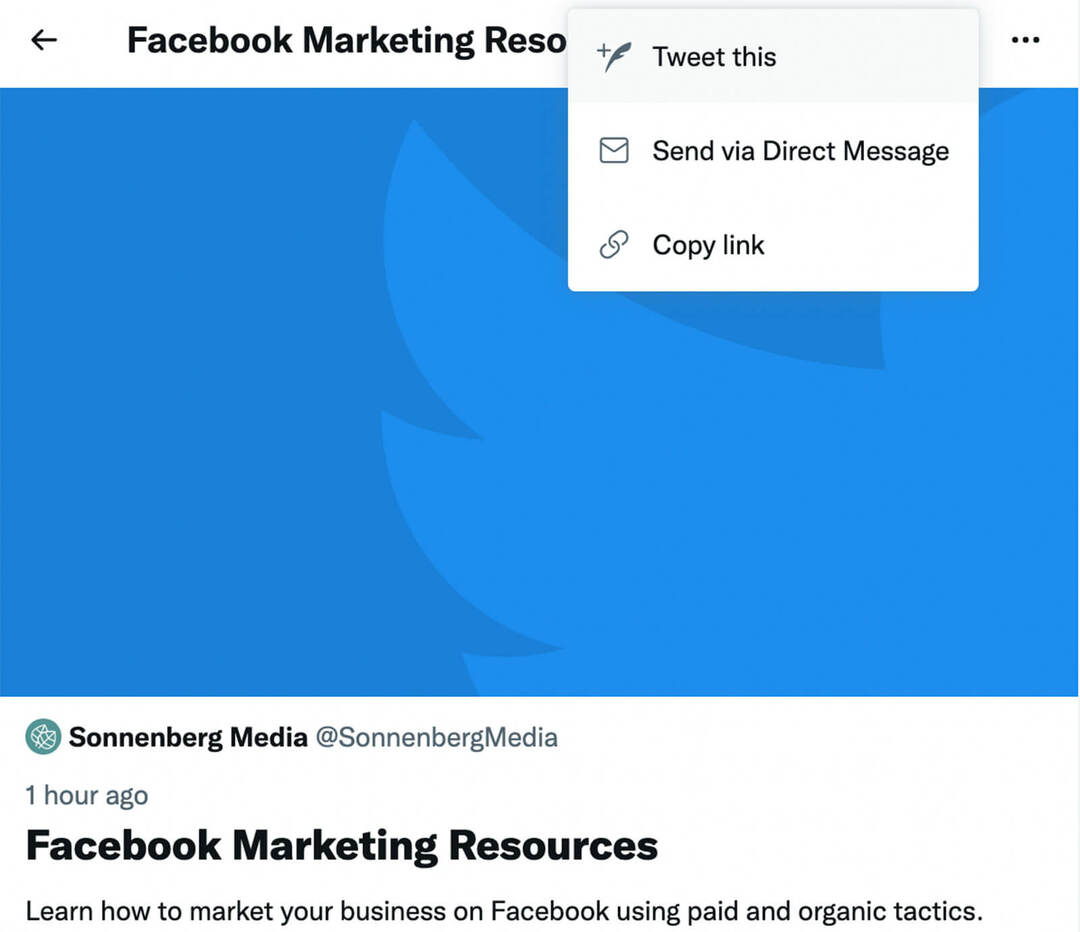 कैसे-टू-रन-ट्विटर-विज्ञापन-2022-प्रचारित-पल-फेसबुक-मार्केटिंग-संसाधन-सोनेनबर्ग-मीडिया-चरण -7