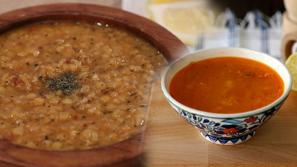स्वादिष्ट सीप वाली बुलग सूप की रेसिपी