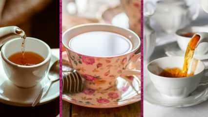 एविडिया के सर्वश्रेष्ठ चाय कप मॉडल कौन से हैं? 2022 सर्वोत्तम चाय कप मॉडल और कीमतें