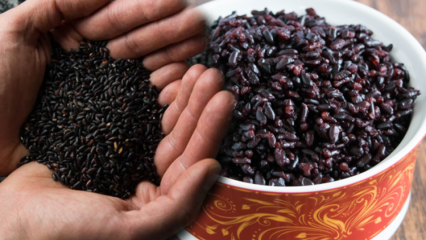 काले चावल के क्या फायदे हैं? काले चावल का दूसरा नाम क्या है? काले चावल का सेवन कैसे किया जाता है?