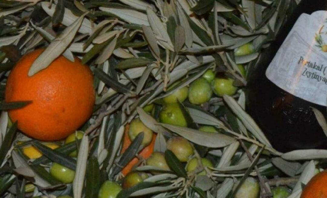 बालिकेसिर की महिला उद्यमियों ने नारंगी जैतून का तेल का उत्पादन किया!