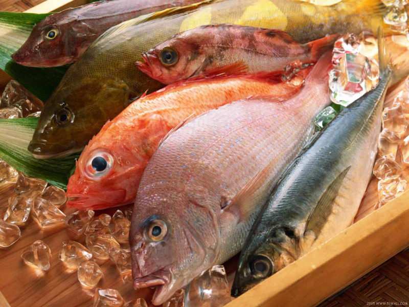 मास्टरशेफ ज्यूरी मेहमत शेफ से ताजा मछली चुनने के टिप्स
