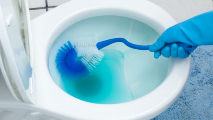 टॉयलेट ब्रश कैसे साफ़ करें? 