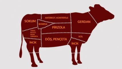 गोमांस के भाग क्या हैं? कौन सा मांस किस क्षेत्र से काटा जाता है?