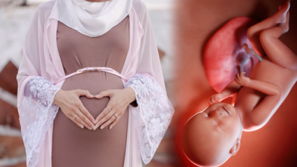 गर्भावस्था के दौरान बच्चे के स्वस्थ रहने के लिए प्रार्थनाएँ और esmaül हुस्ना धिक्र्स पढ़े जाने चाहिए