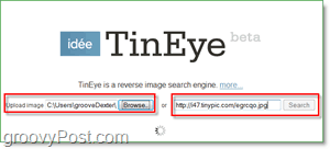 TinEye स्क्रीनशॉट - डुप्लिकेट और बड़े संस्करणों के लिए अपनी छवि देख रहे हैं