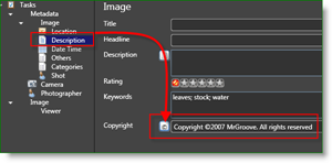 Microsoft प्रो फोटो उपकरण फोटोग्राफर मेटाडाटा ऑटो कॉपीराइट:: groovyPost.com