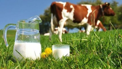 दूध एलर्जी क्या है? शिशुओं में दूध एलर्जी कब गुजरती है? गाय का दूध एलर्जी ...