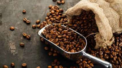 यह कैसे समझा जाता है कि कॉफी अच्छी गुणवत्ता की है, इसे कैसे संग्रहीत किया जाता है? 