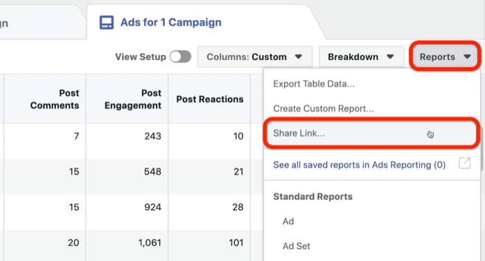 शेयर फेसबुक विज्ञापन कस्टम रिपोर्ट