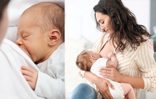 एक नवजात शिशु कितना अवशोषित कर सकता है? नवजात स्तनपान का समय