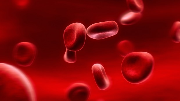 रक्त समूह आहार क्या है? यह कैसे किया जाता है?