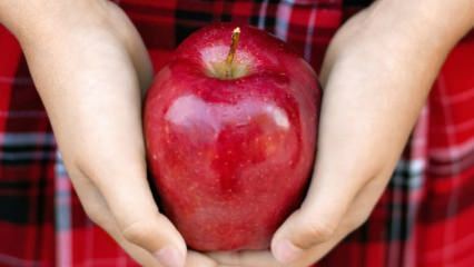 सड़े हुए सेब का मूल्यांकन कैसे किया जाता है? 
