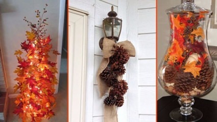 5 वस्तुएं जो शरद ऋतु में आपके घर में सुंदरता जोड़ देंगी!