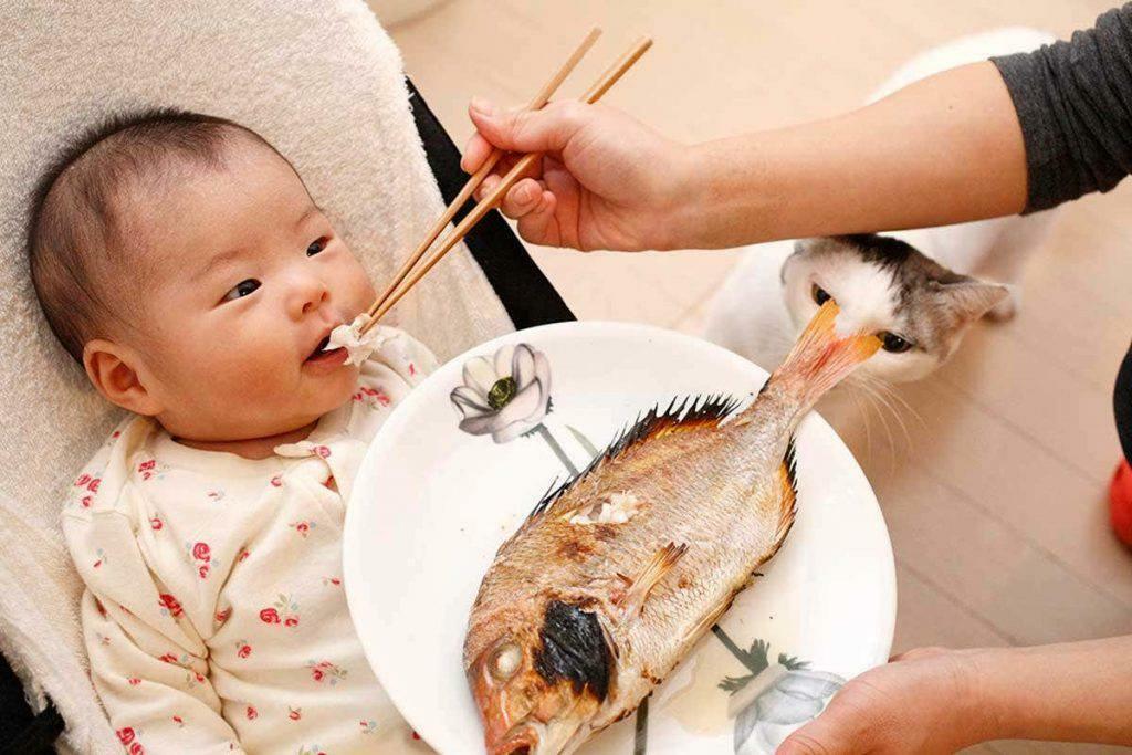 बच्चे को मछली खिलाना
