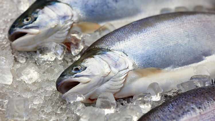 क्या फ्रीज़र में फेंकी गई मछली का स्वाद बदल जाता है?
