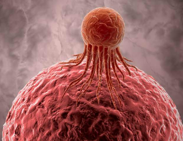 कैंसर कोशिकाएं अन्य स्वस्थ कोशिकाओं को नकारात्मक रूप से प्रभावित करती हैं