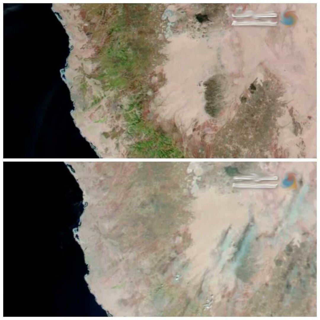 मक्का की अंतिम स्थिति उपग्रह चित्रों में परिलक्षित होती है