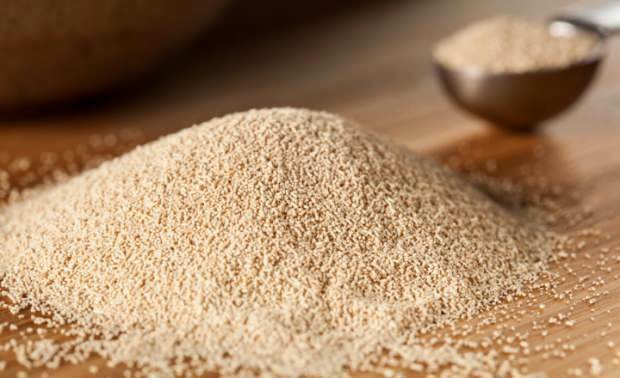 सबसे व्यावहारिक सूखी खमीर का उपयोग क्या होना चाहिए? यह सूखा या खमीर है?