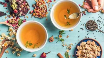 सबसे तेज़ वसा जलने वाली हर्बल चाय कौन सी हैं? 7 सबसे असरदार फैट बर्निंग हर्बल टी! 