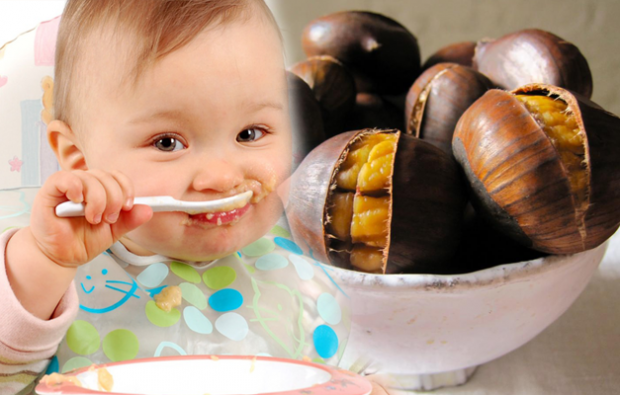 सरकोलो ने समझाया चेस्टनट के फायदे! कितने महीने के बच्चे को अखरोट खा सकते हैं? क्या शाहबलूत बच्चे में गैस बनाता है?