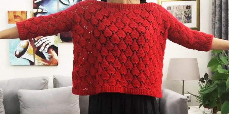 Crochet स्ट्रॉबेरी स्वेटर पैटर्न