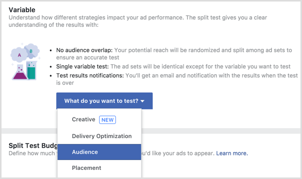 फेसबुक विज्ञापन विभाजन परीक्षण चर