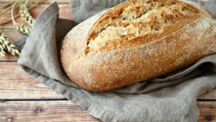 क्या रोटी हानिकारक है? यदि आप 1 सप्ताह तक रोटी नहीं खाते हैं तो क्या होगा? क्या हम सिर्फ रोटी और पानी पर रह सकते हैं?