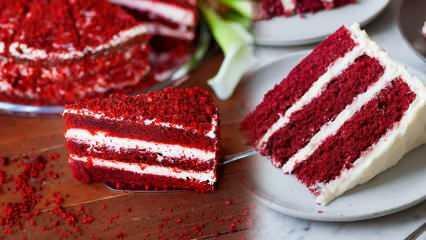 सबसे आसान रेड वेलवेट केक कैसे बनाएं? रेड वेलवेट केक के लिए टिप्स