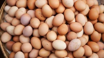 अंडा चुनते समय क्या विचार किया जाना चाहिए?