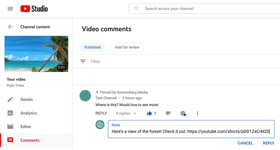 How-use-youtube-shorts-commenting-feature-to-tag-and-mention-commenters-replying-to-origin-comment-with-text-comment-example-14