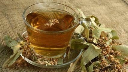 लिंडन के क्या फायदे हैं? किन रोगों के लिए अच्छा है? लिंडेन चाय कैसे बनाये?