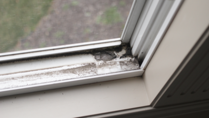 कैसे खिड़की sills साफ करने के लिए? 