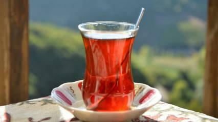 आप कैसे बता सकते हैं कि चाय अच्छी गुणवत्ता की है? चाय की गुणवत्ता को समझने के तरीके