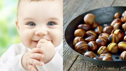 सरकोलो ने समझाया चेस्टनट के फायदे! कितने महीने के बच्चे को अखरोट खा सकते हैं? क्या शाहबलूत बच्चे में गैस बनाता है?