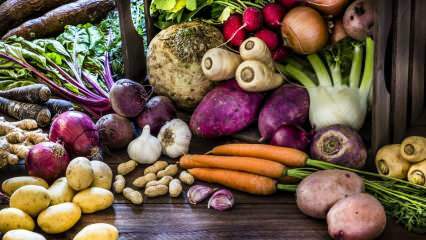 जड़ सब्जियां क्या हैं? रूट सब्जियों के क्या लाभ हैं?