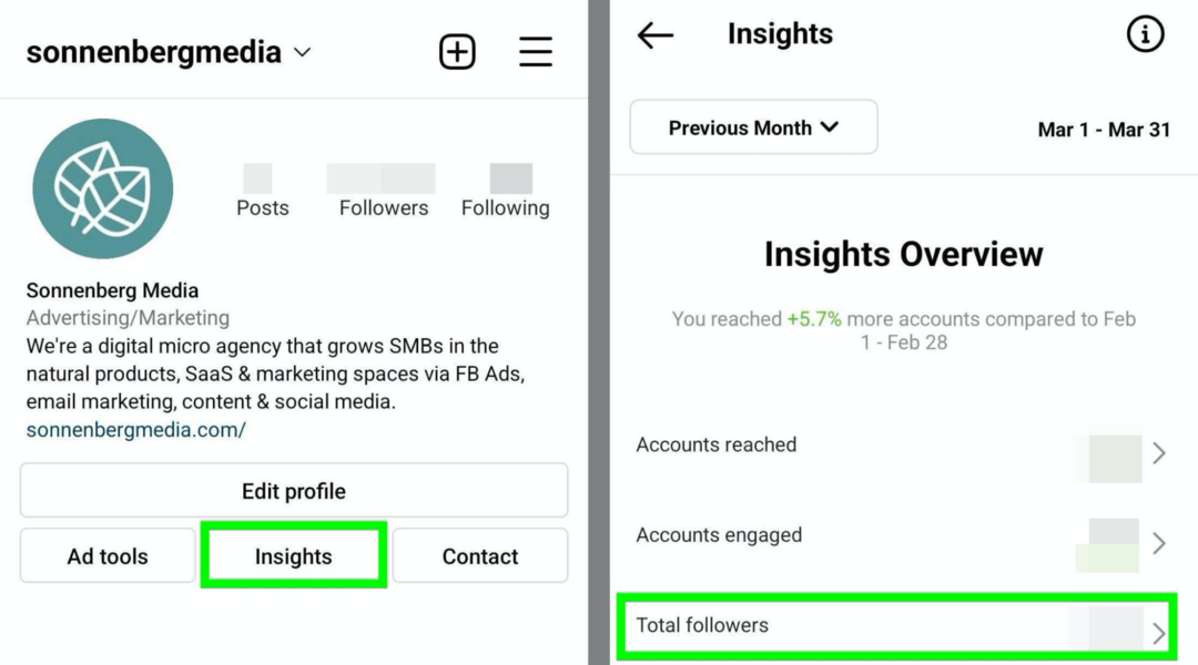 Instagram Insights Total Followers विकल्प की छवि