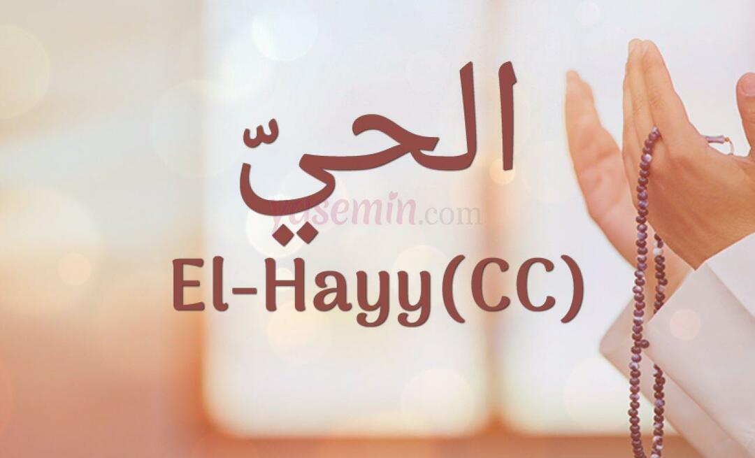 एस्मा-उल हुस्ना से अल-हेय (cc) का क्या अर्थ है? अल-Hayy (सीसी) के गुण क्या हैं?